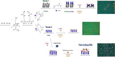 Nano bio-responsive systems avoiding methicillin resistant Staphylococcus aureus colonization on an implant surface - ScienceDirect
