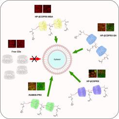 Cyclodextrin-based polyrotaxanes: Cellular uptake enhancement effect of different functionality types - ScienceDirect