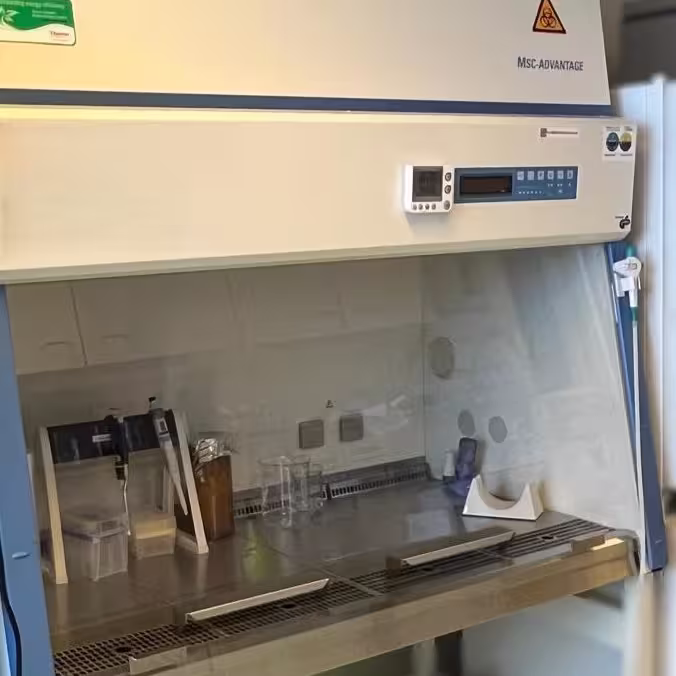 Cell Culture Hood